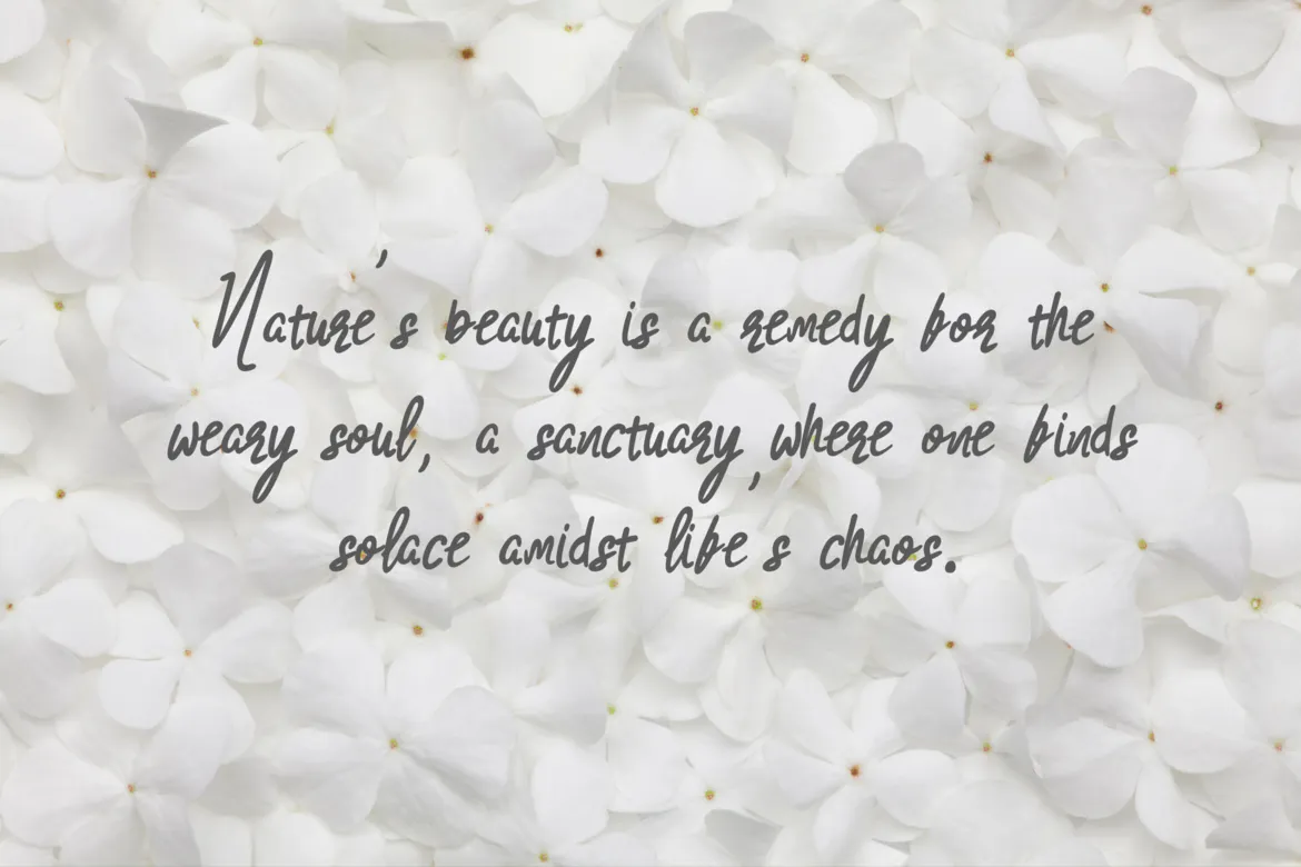 优质的手写装饰字体 - Aksara Dokter-5 优质的手写装饰字体 - Aksara Dokter