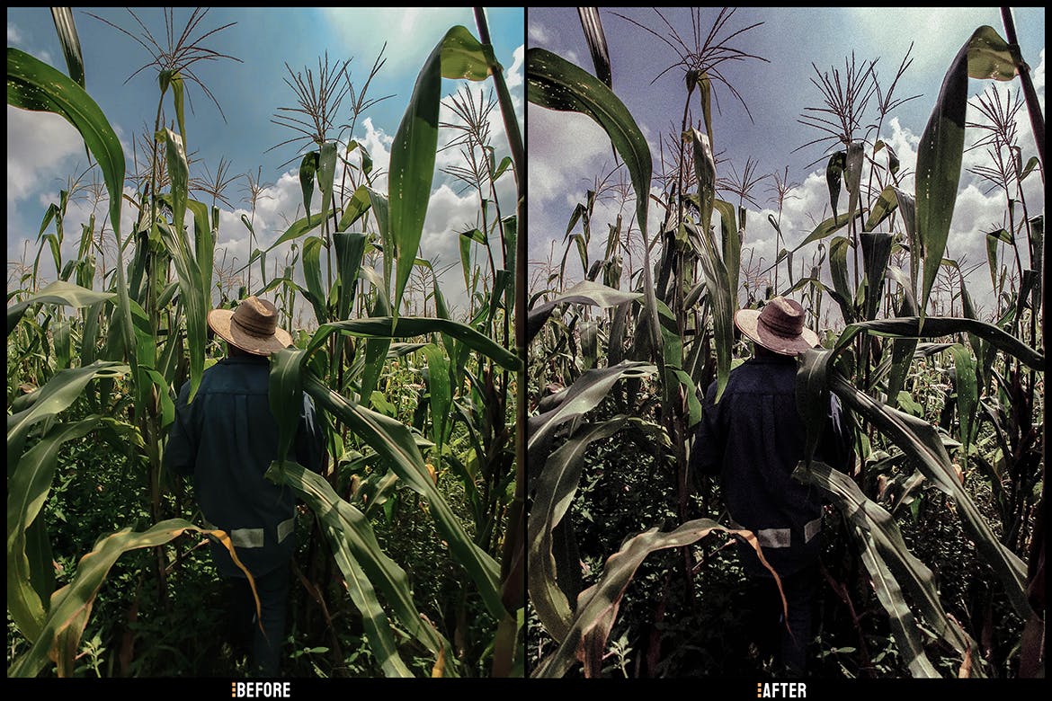 颗粒感复古照片效果LR预设 Grainy Vintage – Desktop and Mobile Presets