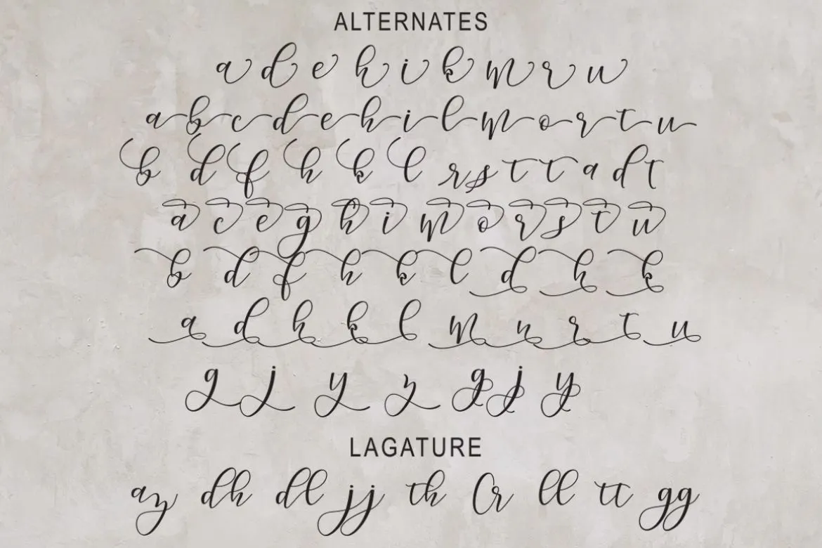 手写书法风格英文脚本字体 - Morelight Script第6张-皮玩部落 手写书法风格英文脚本字体 - Morelight Script