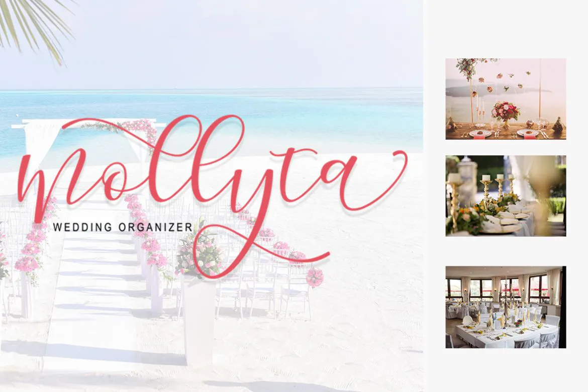 手写书法风格英文脚本字体 - Morelight Script第5张-皮玩部落 手写书法风格英文脚本字体 - Morelight Script