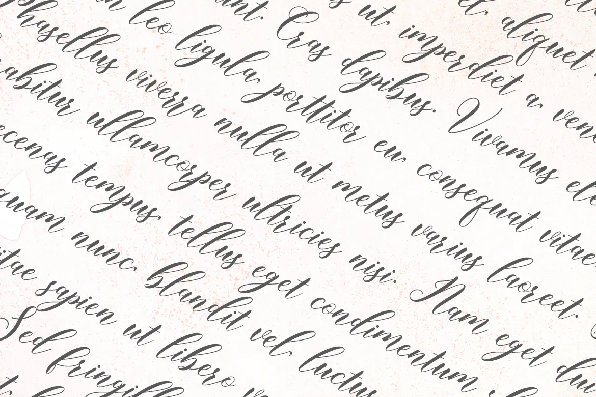 品牌包装海报设计脚本字体 - Kembali Script