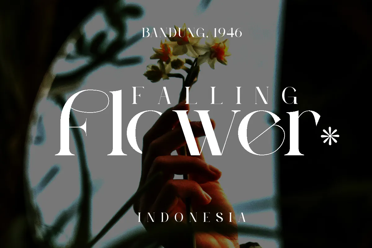 优雅时尚衬线字体 Peagen Elegant Stylish Serif