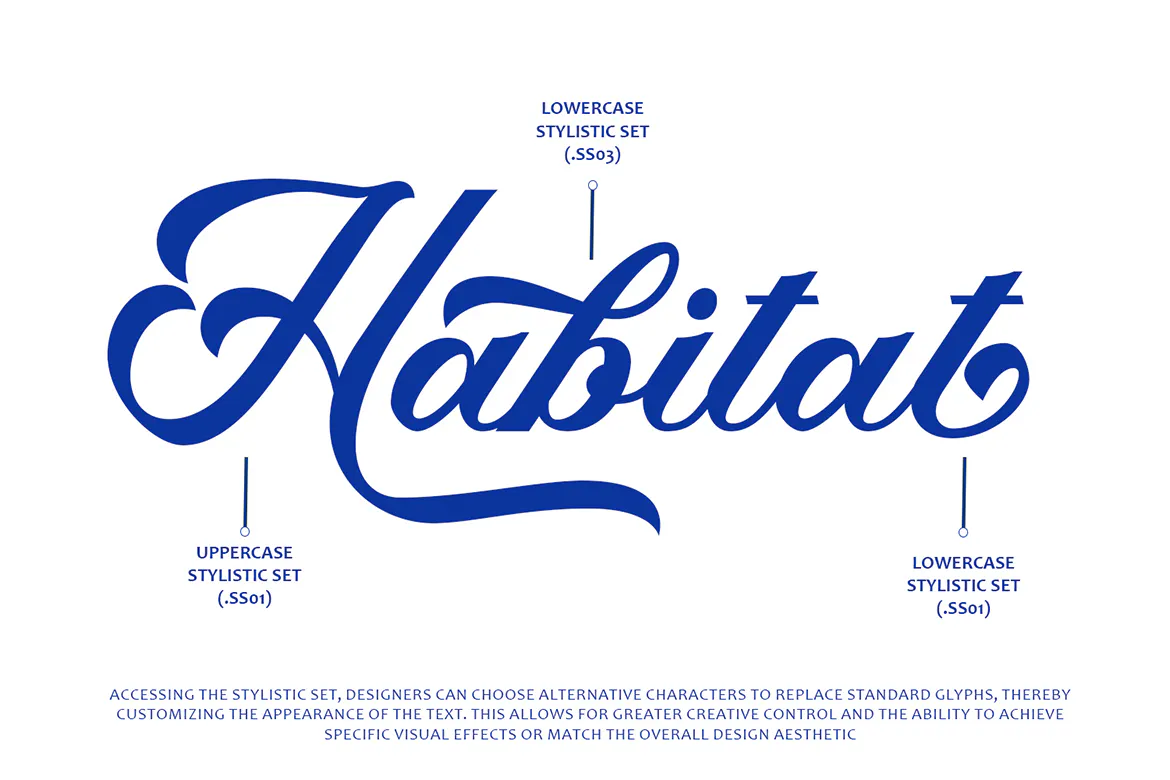 可口可乐标志风格的英文手写花体字体 - Ganglion第9张-皮玩部落 可口可乐标志风格的英文手写花体字体 - Ganglion