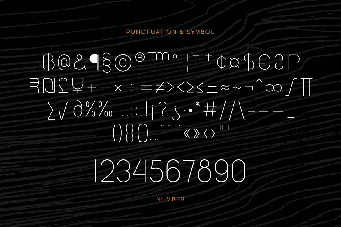 简约线条的英文无衬线装饰字体 - Melaround第2张-皮玩部落 简约线条的英文无衬线装饰字体 - Melaround