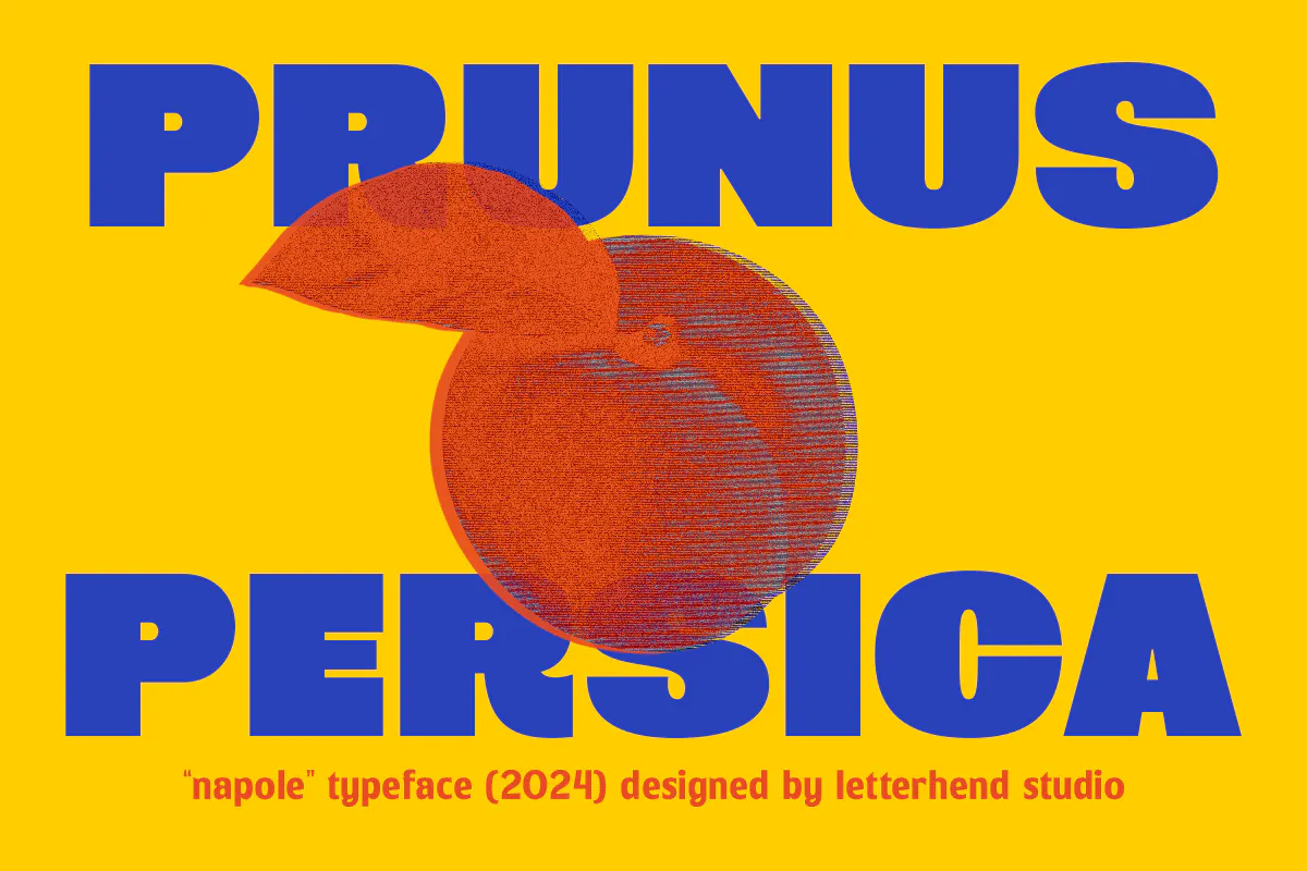 厚重大胆出色的英文无衬线字体 - Napole