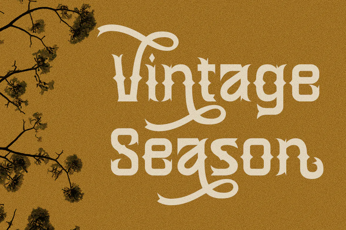 现代优雅的英文装饰字体 - Cidurian