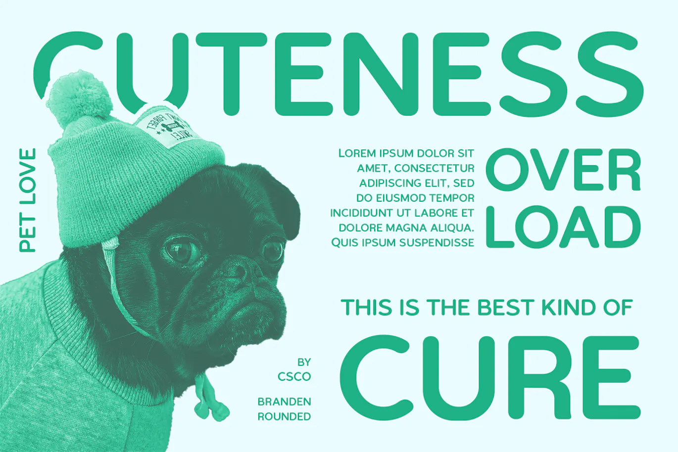 优雅柔软的英文圆体字体 - Branden Rounded第5张-皮玩部落 优雅柔软的英文圆体字体 - Branden Rounded