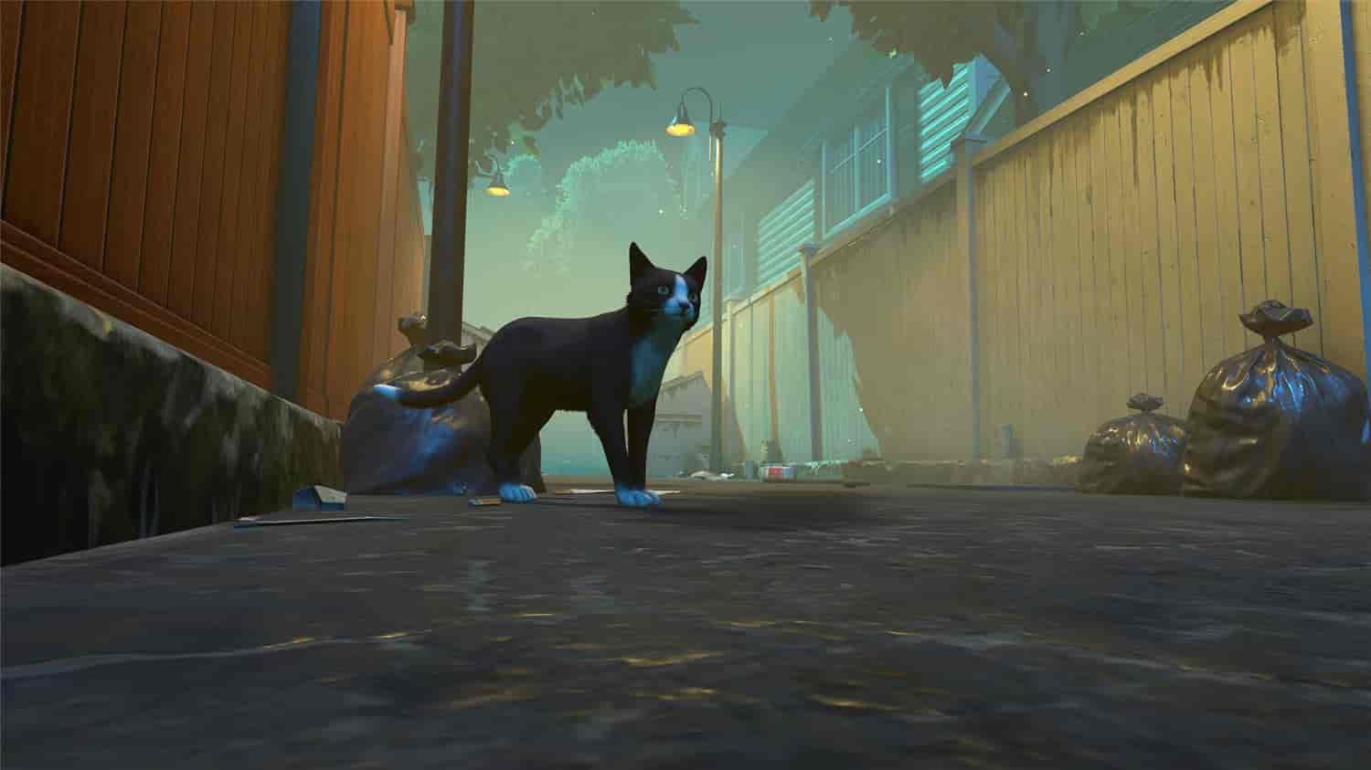 冒牌猫谜/Copycat-1 冒牌猫谜/Copycat