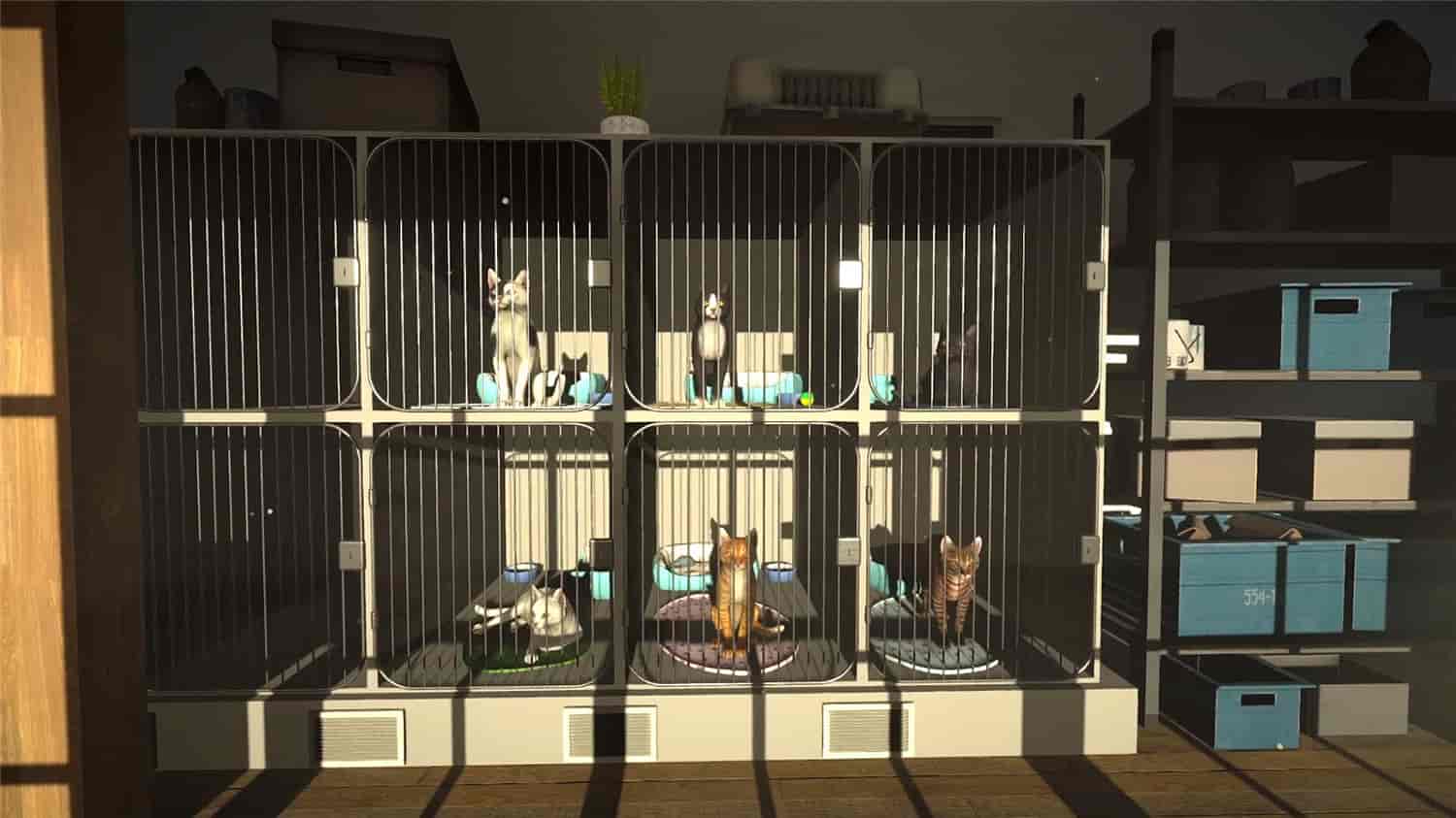 冒牌猫谜/Copycat-5 冒牌猫谜/Copycat