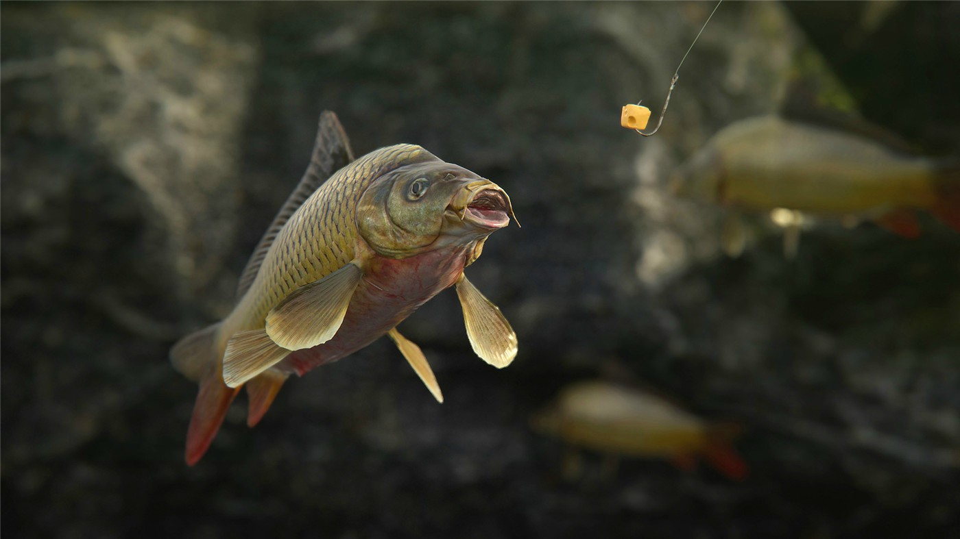 人渣/SCUM-2 人渣/SCUM 开放世界生存动作游戏