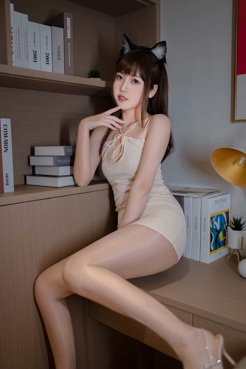 不呆猫 家教猫老师