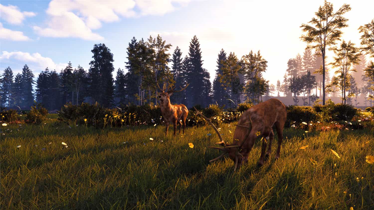 《风暴：深厚友谊的开始 重制版》v1.0.5|容量16GB|官方简体中文