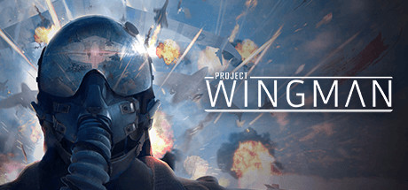 《僚机计划/Project Wingman》v2.1.0|容量16.7GB|官方简体中文