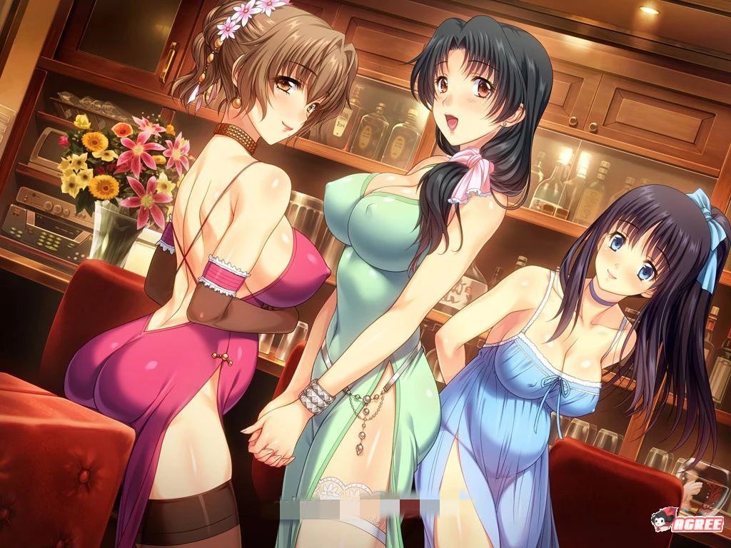 妻中蜜(1+2+3) 合集 完整中文汉化版 全CG档+攻略+全动画 ADV游戏-3 妻中蜜(1+2+3) 合集 完整中文汉化版 全CG档+攻略+全动画 ADV游戏