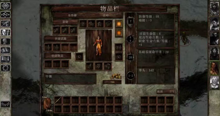 冰风谷:增强版 v2.6.6.10 安卓STEAM移植中文版 CRPG游戏