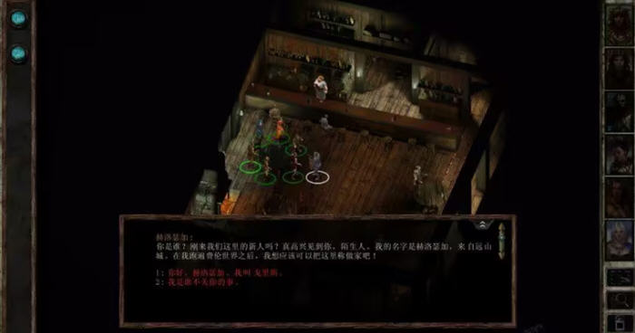 冰风谷:增强版 v2.6.6.10 安卓STEAM移植中文版 CRPG游戏