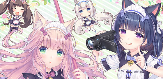 猫娘乐园 After:真实的家庭 官方中文版 ADV游戏+全CG存档