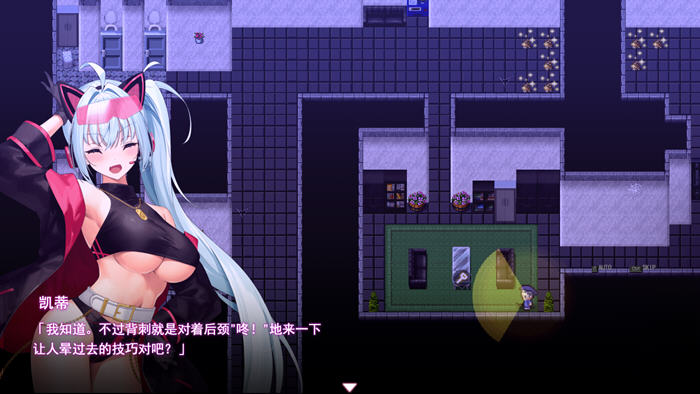 盗贼猫的乍精记录 v1.0.1 AI汉化版 潜入类RPG游戏-5 盗贼猫的乍精记录 v1.0.1 AI汉化版 潜入类RPG游戏
