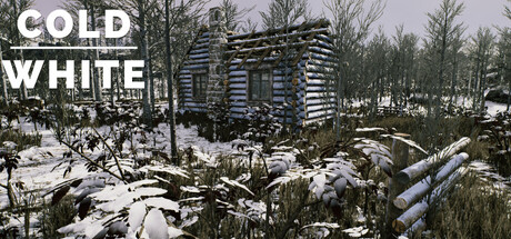 冷白/The Cold White 角色扮演游戏