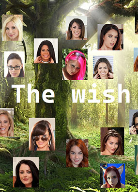 愿望 The Wish v0.41 汉化版