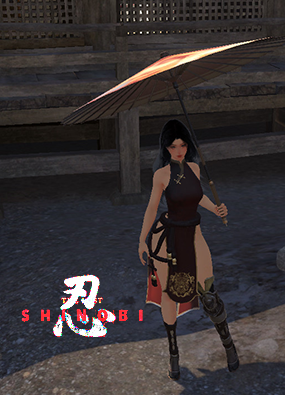 失落的忍者 The Lost Shinobi v0.1.35 官方中文版