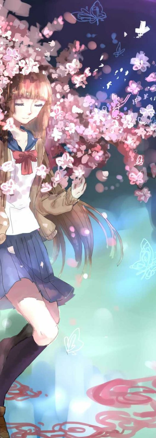 【P站精选】绝园的暴风雨《不破爱花》高清壁纸特辑！