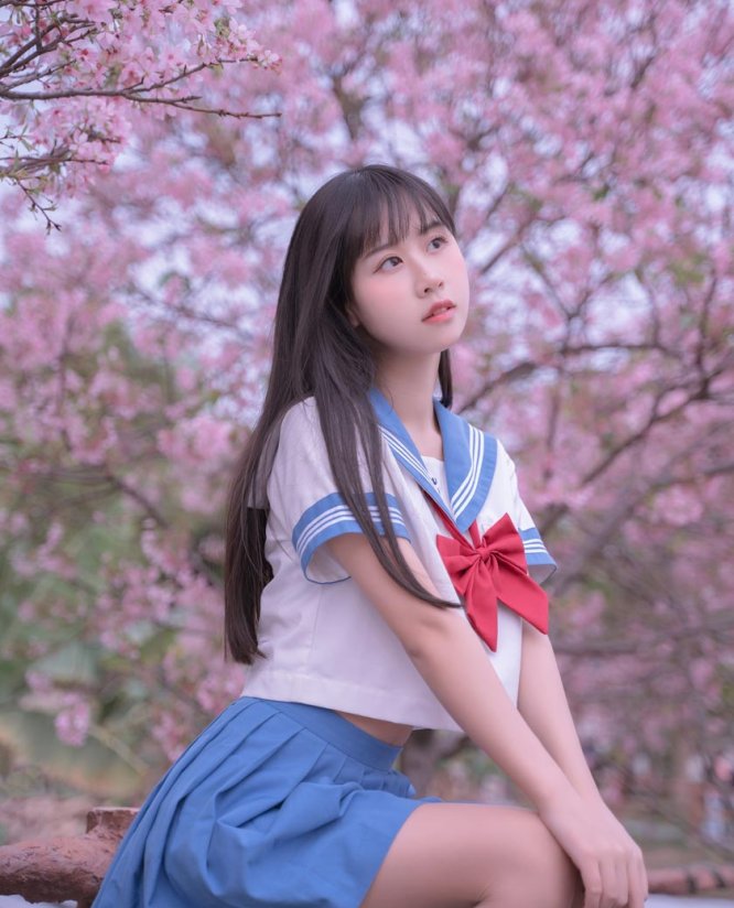 萌芽儿o0 樱花jk