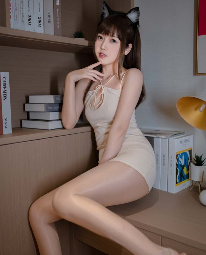 不呆猫 家教猫老师