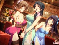 妻中蜜(1+2+3) 合集 完整中文汉化版 全CG档+攻略+全动画 ADV游戏