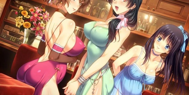 妻中蜜(1+2+3) 合集 完整中文汉化版 全CG档+攻略+全动画 ADV游戏