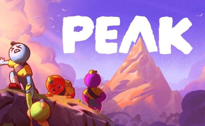 巅峰/PEAK/支持网络联机